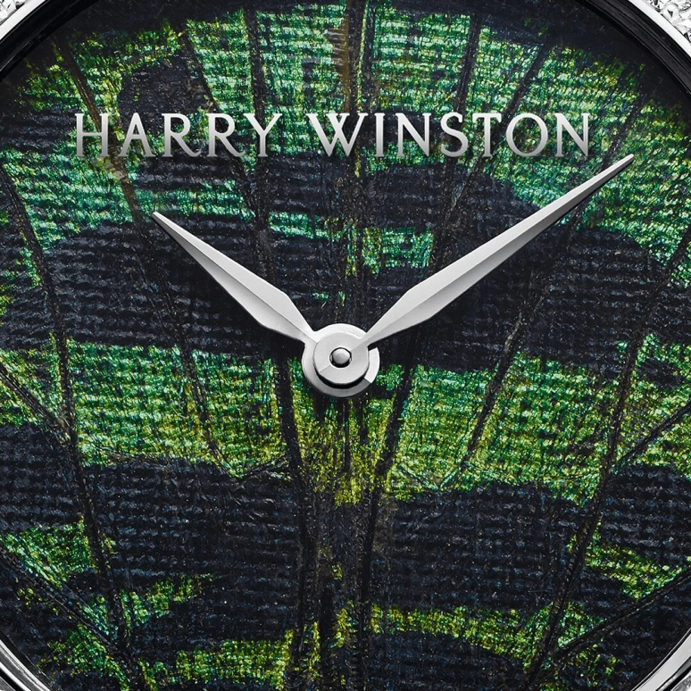 Harry Winston,The Premier 36mm,36mm,Gold,White Gold,Automatic,In-house Caliber,Open,PRNAHM36WW004