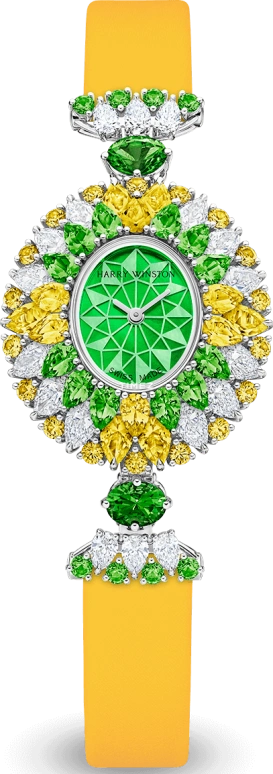 Harry Winston High Jewelry Timepieces HJTQHM29PP016