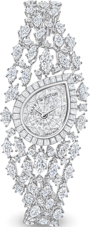 Harry Winston High Jewelry Timepieces HJTQHM21PP001