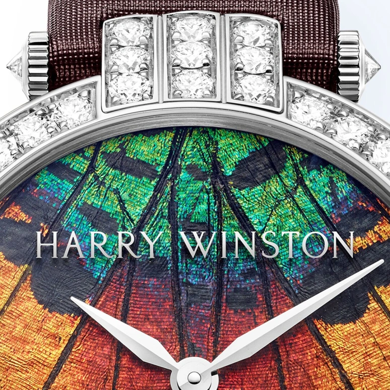 Harry Winston,The Premier 36mm,36mm,Gold,White Gold,Automatic,In-house Caliber,Open,PRNAHM36WW005