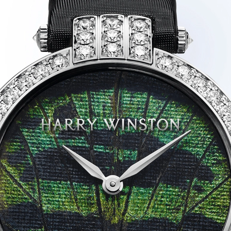 Harry Winston,The Premier 36mm,36mm,Gold,White Gold,Automatic,In-house Caliber,Open,PRNAHM36WW004