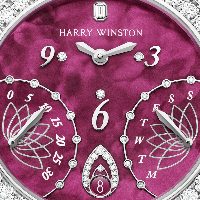 Harry Winston,The Ocean 36mm,36mm,Gold,White Gold,Burgundy,Automatic,In-house Caliber,Mother of Pearl,OCEABI36WW054