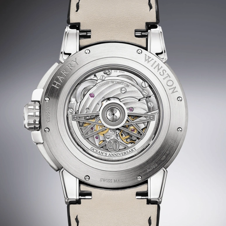 Harry Winston,The Ocean 42.2mm,42.2mm,Gold,White Gold,Automatic,In-house Caliber,Open,OCEAPC42WW002