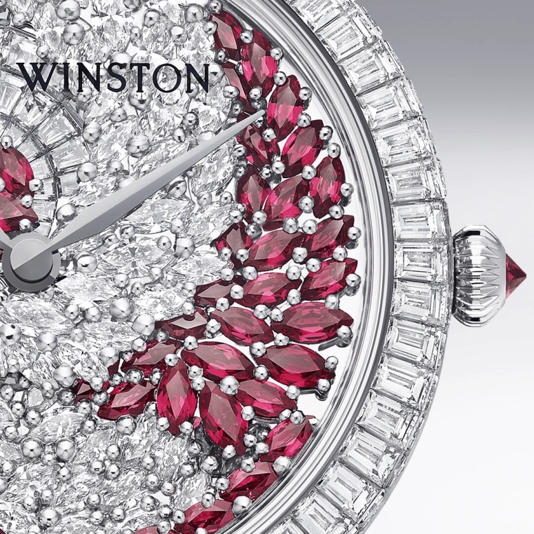 Harry Winston,High Jewelry Timepieces 36mm,36mm,Platinum,Automatic,In-house Caliber,Open,HJTAHM36PP001