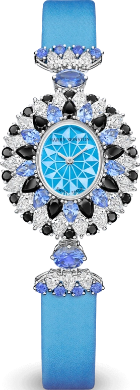 Harry Winston High Jewelry Timepieces HJTQHM29PP027