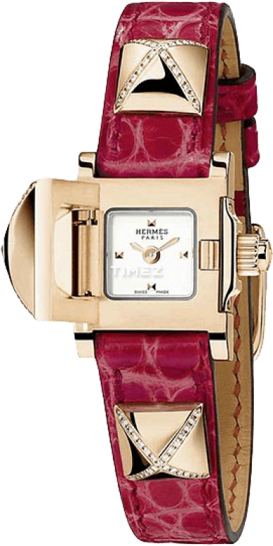Hermès Médor W041280WW00