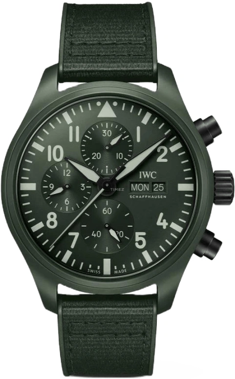 IWC Pilot IW389106