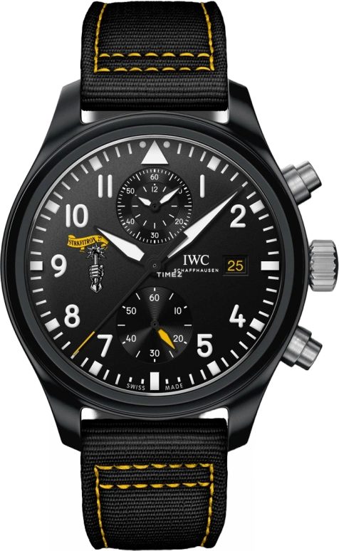 IWC Pilot IW389011