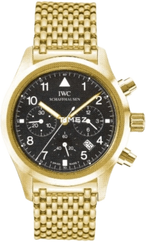 IWC Pilot IW954101