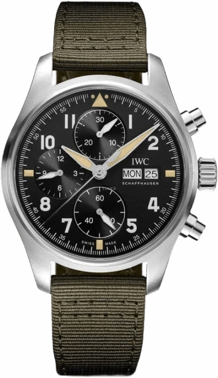 IWC Pilot IW387901