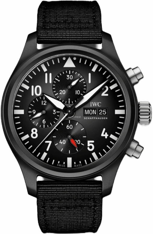 IWC Pilot IW389101