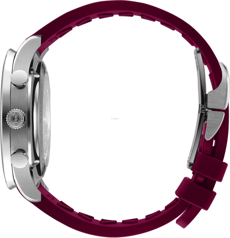 IWC,Portugieser 41mm,41mm,Stainless Steel,Burgundy,Automatic,Chronograph,46hours,IW371629