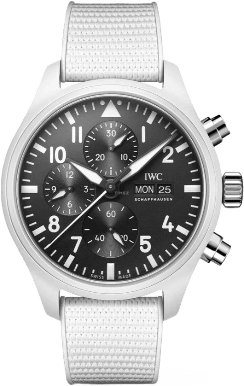IWC Pilot IW389105