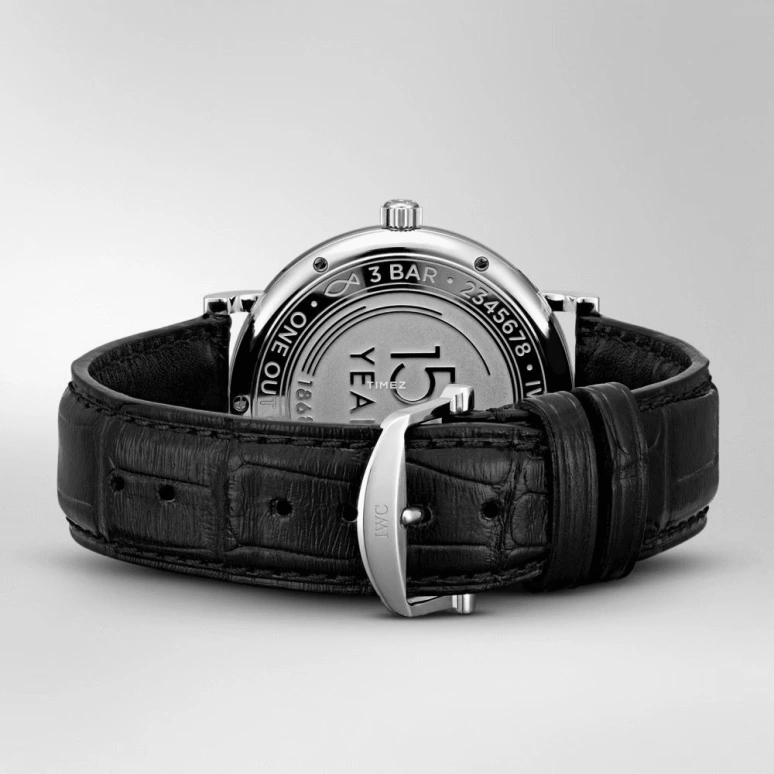 IWC,Portofino 40mm,40mm,Stainless Steel,Blue,Automatic,Day,42hours,IW356518