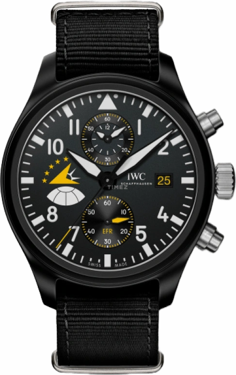 IWC Pilot IW389015