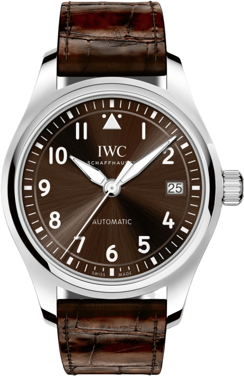 IWC Pilot IW324009