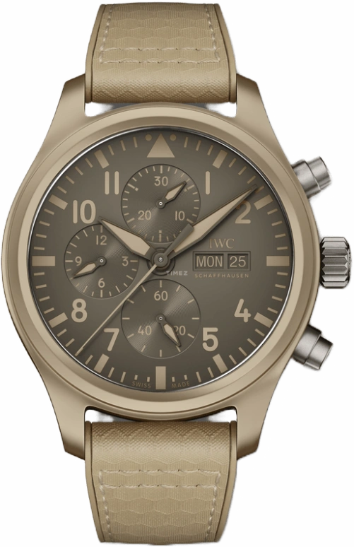 IWC Pilot IW389103
