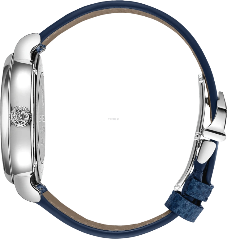 IWC,Portofino 39mm,39mm,Stainless Steel,Blue,Automatic,Day,50hours,IW359202