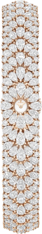 Jaeger-LeCoultre Extraordinary Q2882201