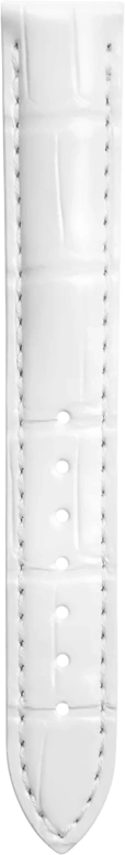 Longines,Master 29mm,29mm,Yellow Gold,Stainless Steel,Silver,Automatic,Date,40hours,L2,L2.257.5.77.7