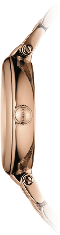 Mido,Baroncelli 29mm,29mm,Coffee,Brown,Quartz,26280hours,Sapphire,M022,M022.210.33.296.00