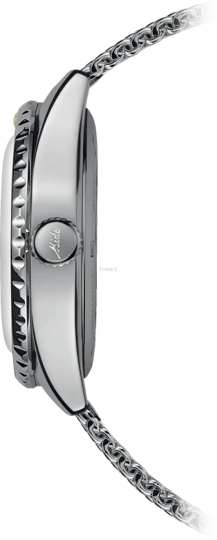 Mido,Ocean Star 40.50mm,40.50mm,Stainless Steel,Black,Automatic,Day,World Time,M026,M026.829.17.051.00