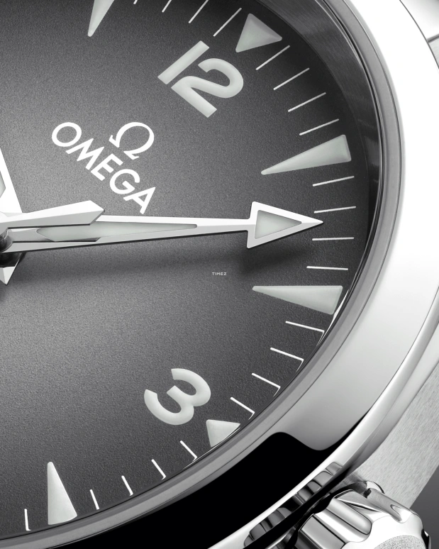 Omega,Railmaster 38mm,38mm,Stainless Steel,Grey,Automatic,Anti-magnetic,55hours,235,235.10.38.20.06.001