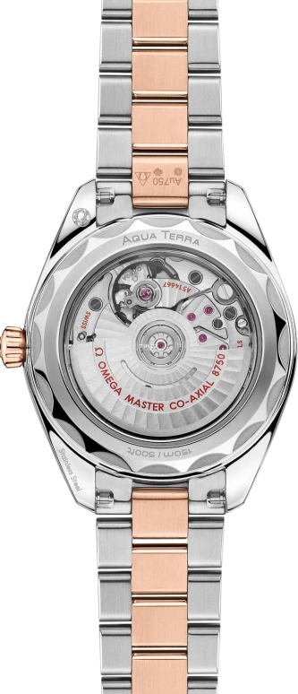 Omega,Seamaster 30mm,30mm,Stainless Steel,Sedna Gold,Brown,Automatic,Day,Anti-magnetic,220,220.20.30.20.63.001