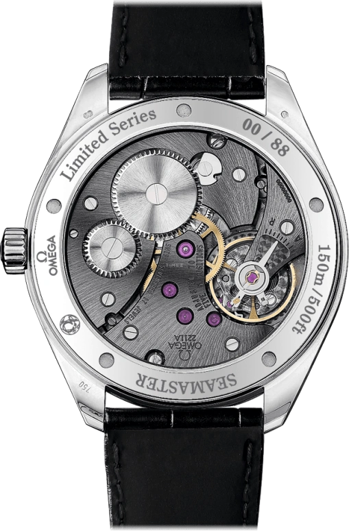 Omega,Aqua Terra 49.20mm,49.20mm,White Gold,White,Handwound,53hours,In-house Caliber,231,231.53.49.10.04.001