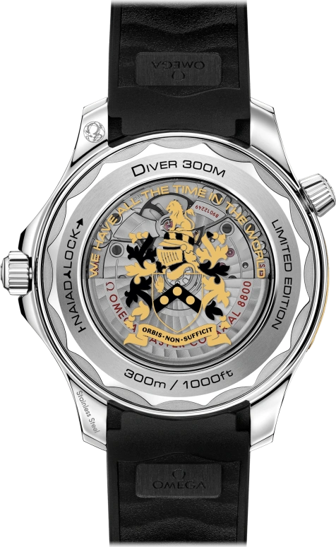 Omega,Seamaster Diver 300M 42mm,42mm,Stainless Steel,Black,Automatic,Day,Co-Axial Escapement,Anti-magnetic,210,210.22.42.20.01.004