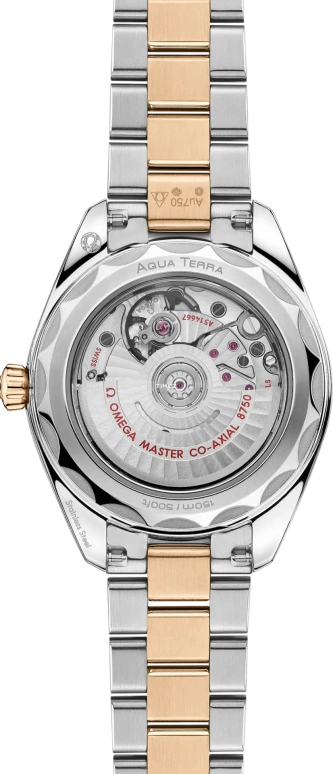 Omega,Aqua Terra 30mm,30mm,Stainless Steel,Moonshine Gold,White,Automatic,Day,Anti-magnetic,220,220.25.30.20.55.001
