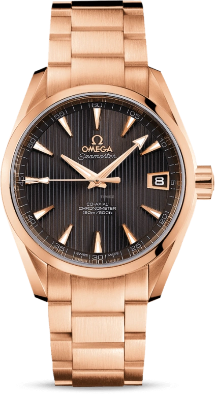 Omega Aqua Terra 231.50.39.21.06.001