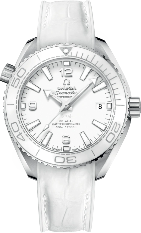 Omega Seamaster Planet Ocean 215.33.40.20.04.001