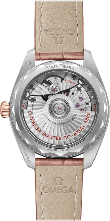 Omega,Aqua Terra 34mm,34mm,Sedna Gold,Stainless Steel,Grey,Automatic,Date,Co-Axial Escapement,220,220.28.34.20.59.001