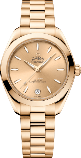 Omega Aqua Terra 220.50.30.20.08.001