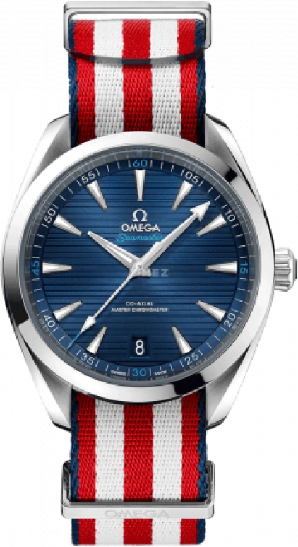 Omega Aqua Terra 220.12.41.21.03.004