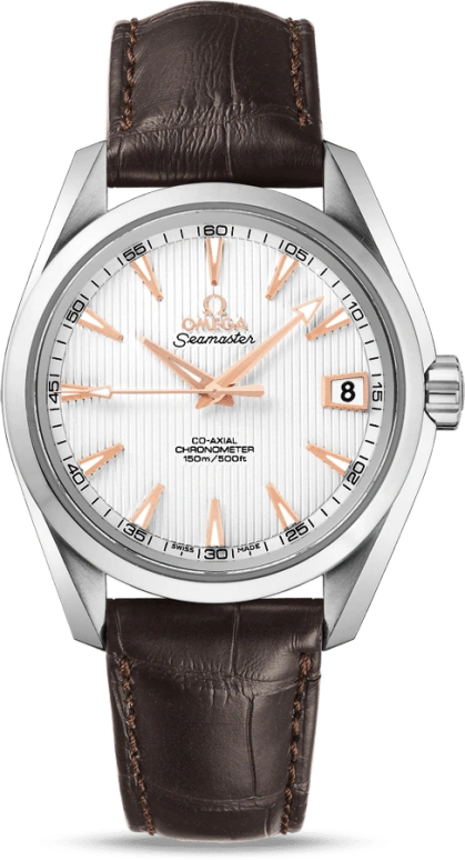 Omega,Aqua Terra 38.50mm,38.50mm,Stainless Steel,Silver,Automatic,Date,Co-Axial Escapement,231,231.13.39.21.02.002