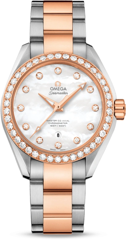 Omega Aqua Terra 231.25.34.20.55.005