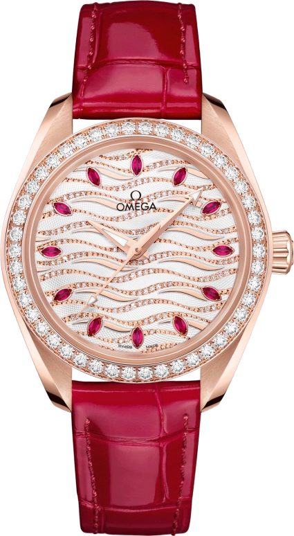 Omega Aqua Terra 220.58.34.20.99.004