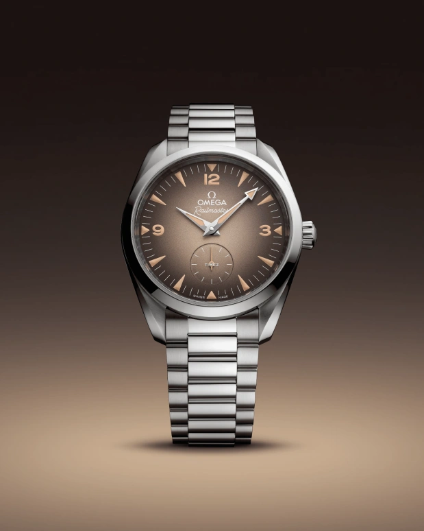 Omega,Railmaster 38mm,38mm,Stainless Steel,Brown,Automatic,Anti-magnetic,55hours,235,235.10.38.20.13.001