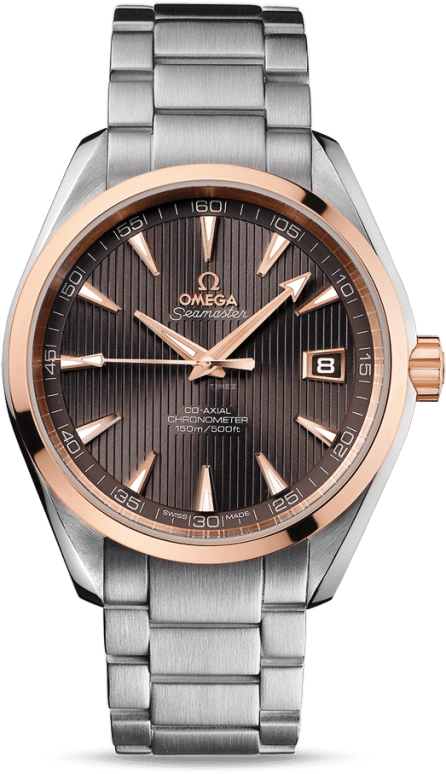 Omega Aqua Terra 231.20.42.21.06.002