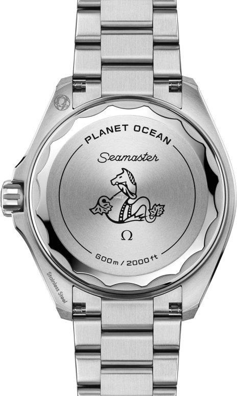 Omega,Seamaster Planet Ocean 42mm,42mm,Stainless Steel,Ceramic,Titanium,Black,Automatic,Dule Time,Anti-magnetic,217,217.30.42.21.01.002