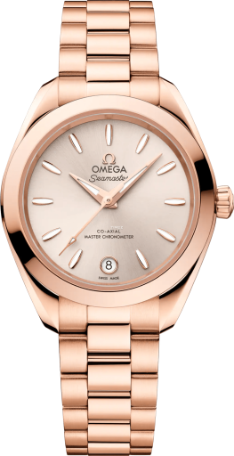 Omega Aqua Terra 220.50.30.20.09.001