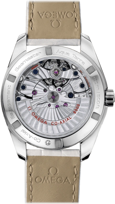 Omega,Aqua Terra 38.50mm,38.50mm,Stainless Steel,White,Automatic,Date,Co-Axial Escapement,231,231.13.39.21.55.001