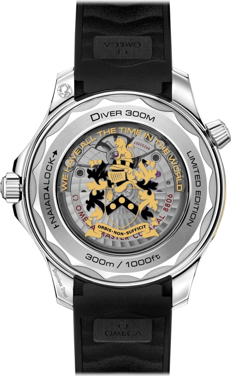 Omega,Seamaster Diver 300M 42mm,42mm,Stainless Steel,Black,Automatic,Day,Co-Axial Escapement,210,210.22.42.20.01.003