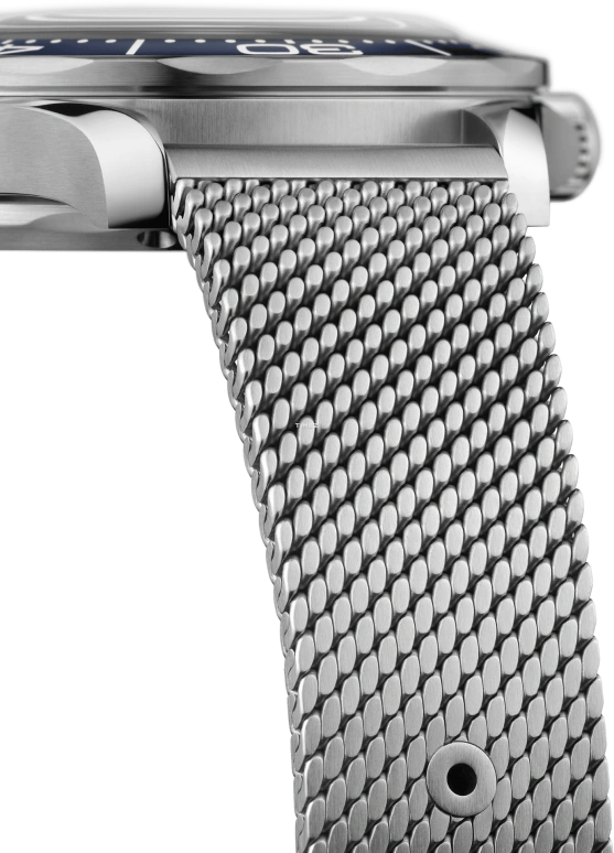 Omega,Seamaster 42mm,42mm,Stainless Steel,Blue,Automatic,55hours,In-house Caliber,210,210.30.42.20.03.002