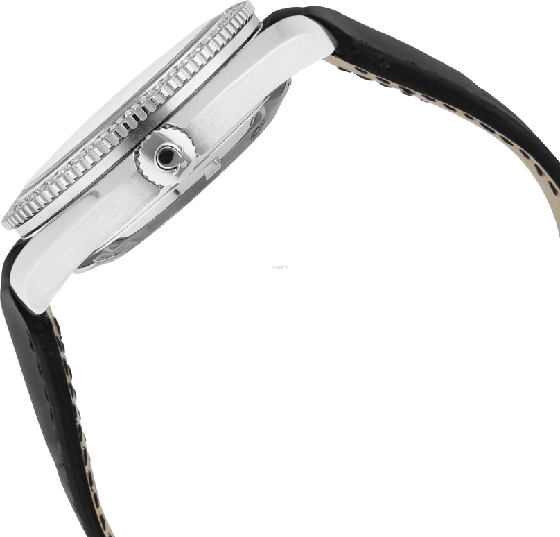 Omega,Seamaster Planet Ocean 42mm,42mm,Stainless Steel,Black,Automatic,Day,48hours,222,222.18.42.20.01.001