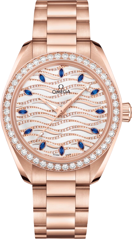 Omega Aqua Terra 220.55.34.20.99.005