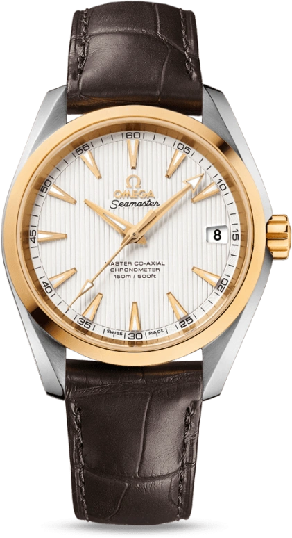 Omega Aqua Terra 231.23.39.21.02.002