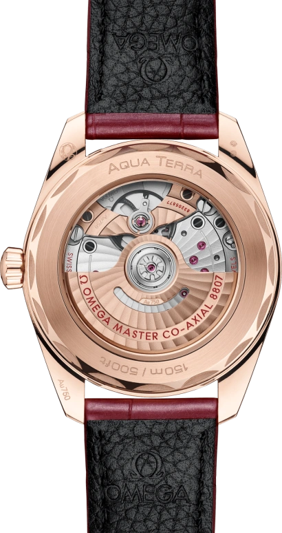Omega,Aqua Terra 38mm,38mm,Sedna Gold,Pink Red,Automatic,Anti-magnetic,55hours,Robert Downey Jr.,220,220.58.38.20.99.007